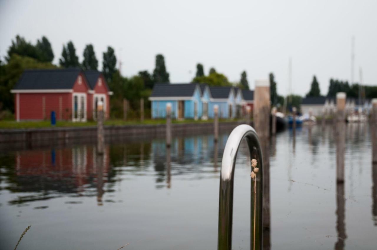 Heerlijk Huis Aan Het Ijsselmeer Stavoren Eksteriør billede