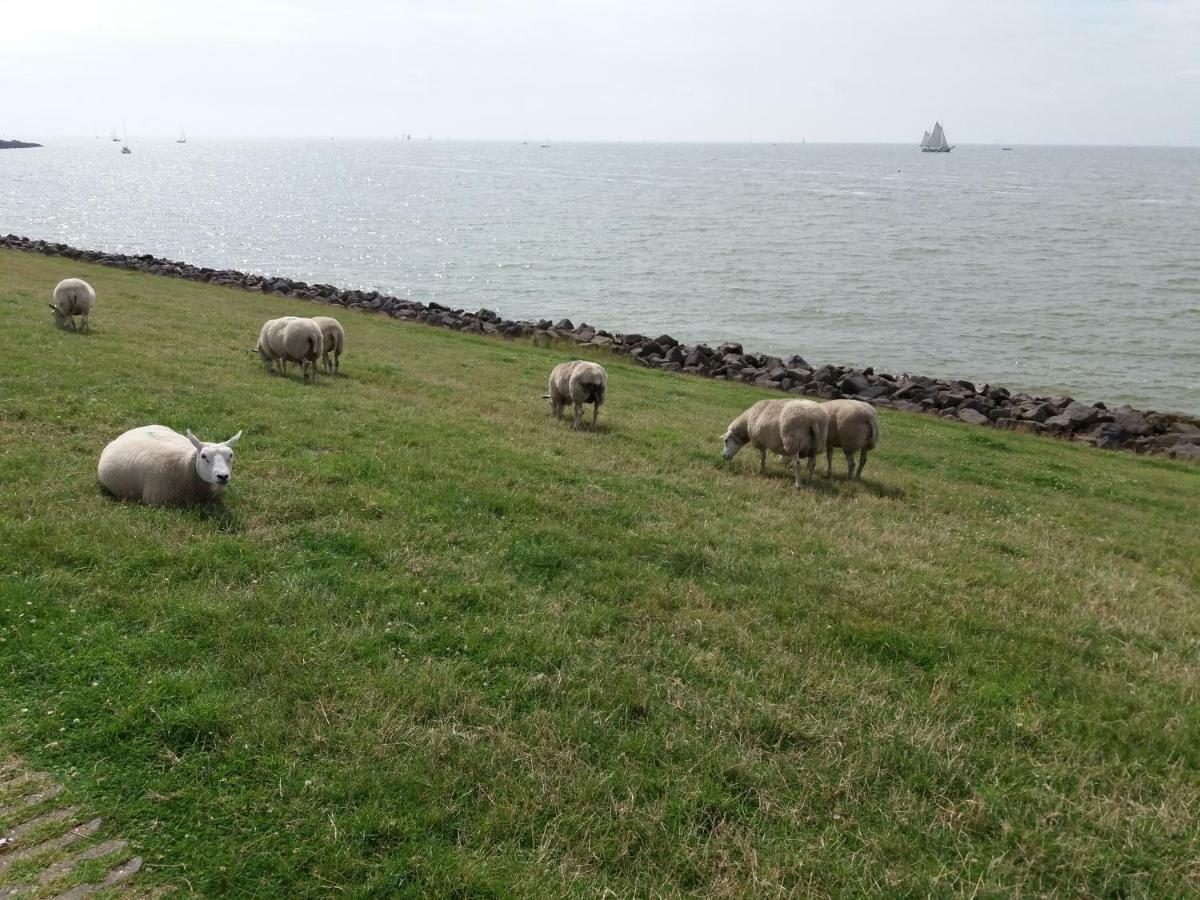 Heerlijk Huis Aan Het Ijsselmeer Stavoren Eksteriør billede