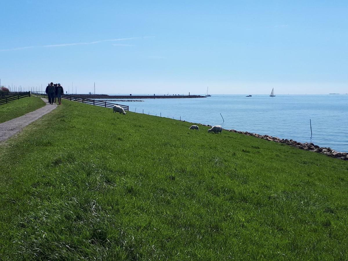 Heerlijk Huis Aan Het Ijsselmeer Stavoren Eksteriør billede